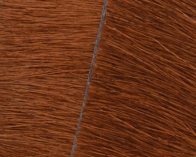 Piel de Potro. Plano 20mm. marron