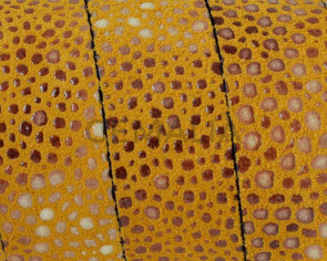 Cuero plano. Pez raya. 20x2,5mm. Amarillo. Calidad superior