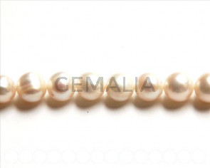 Perlas cultivadas. Round 10-11mm. blanco