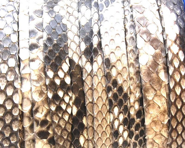 Python skin Leather cord. Flat. 9x1.5mm. White and black.