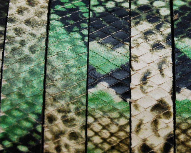 Imitation Snake skin. Flat. 10x2.5mm. Green.