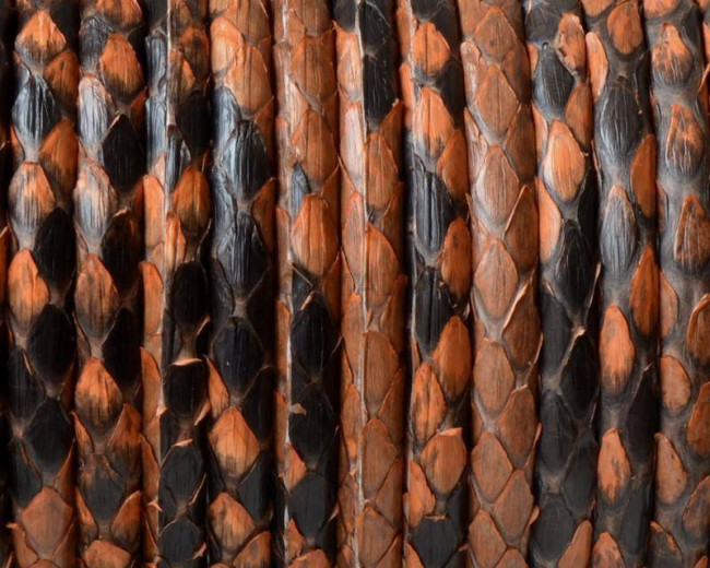 Python skin Leather cord. Round. 4mm.Hole.Light brown.Inn.0.8mm.approx.Best Quality