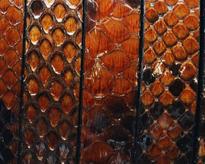 Python skin Leather cord. Flat. 15x2.5mm. Light brown.