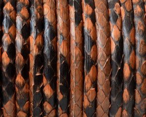 Python skin Leather cord. Round. 4mm.Hole.Light brown.Inn.0.8mm.approx.Best Quality
