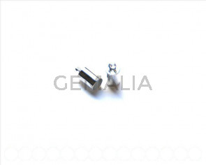 End Cap. 5x9mm. Silver color. Inn. 4.3mm approx 20 PCs